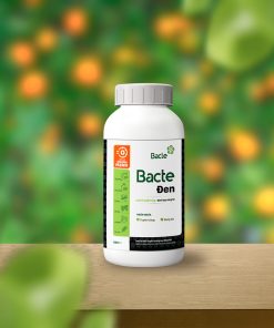 Bacteri-Den-3