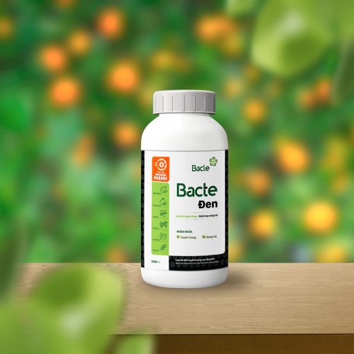 Bacteri-Den-3