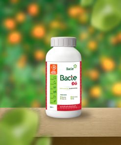 Bacteri-Do